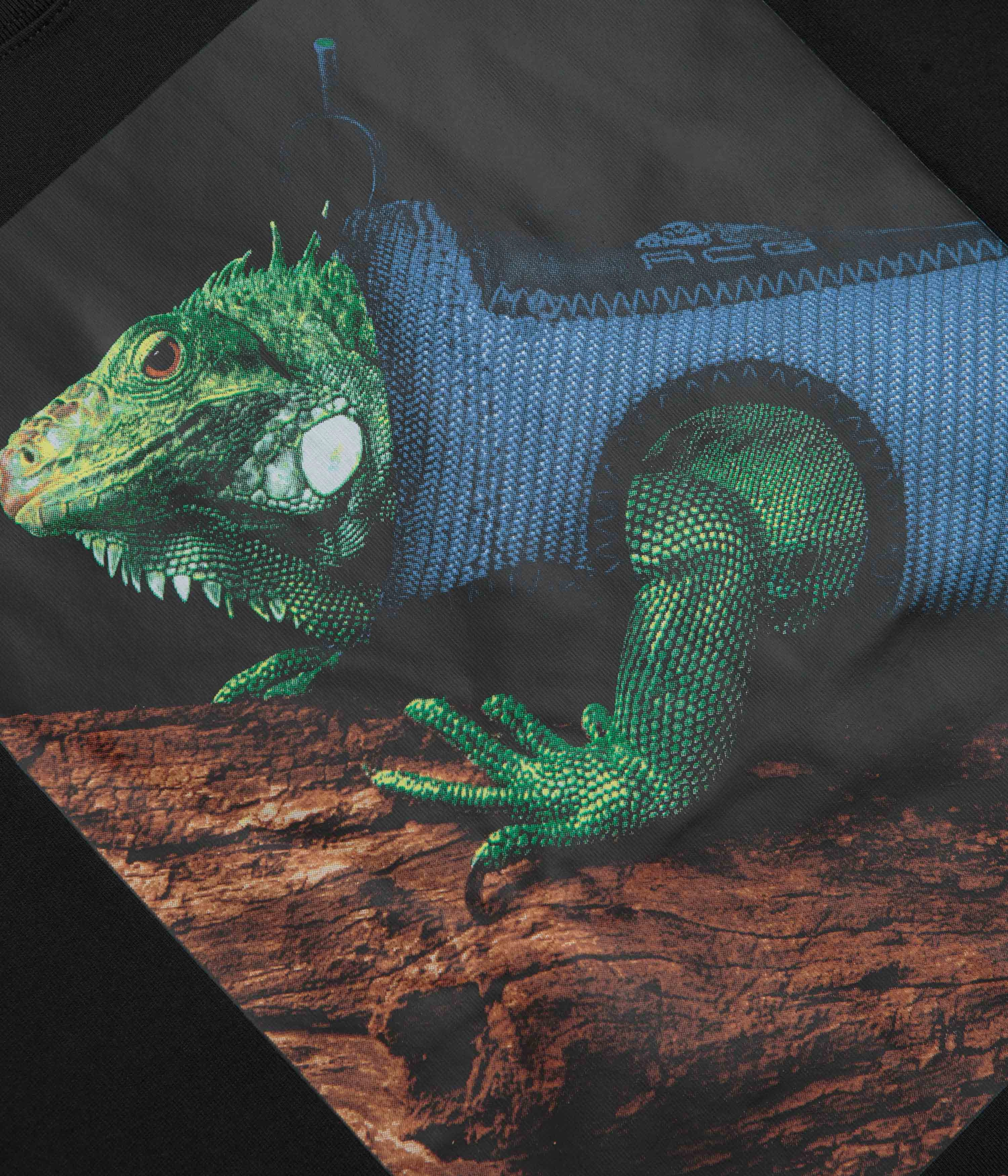 Eco Conscious Production Nike ACG Iguana Vest T-Shirt - Black