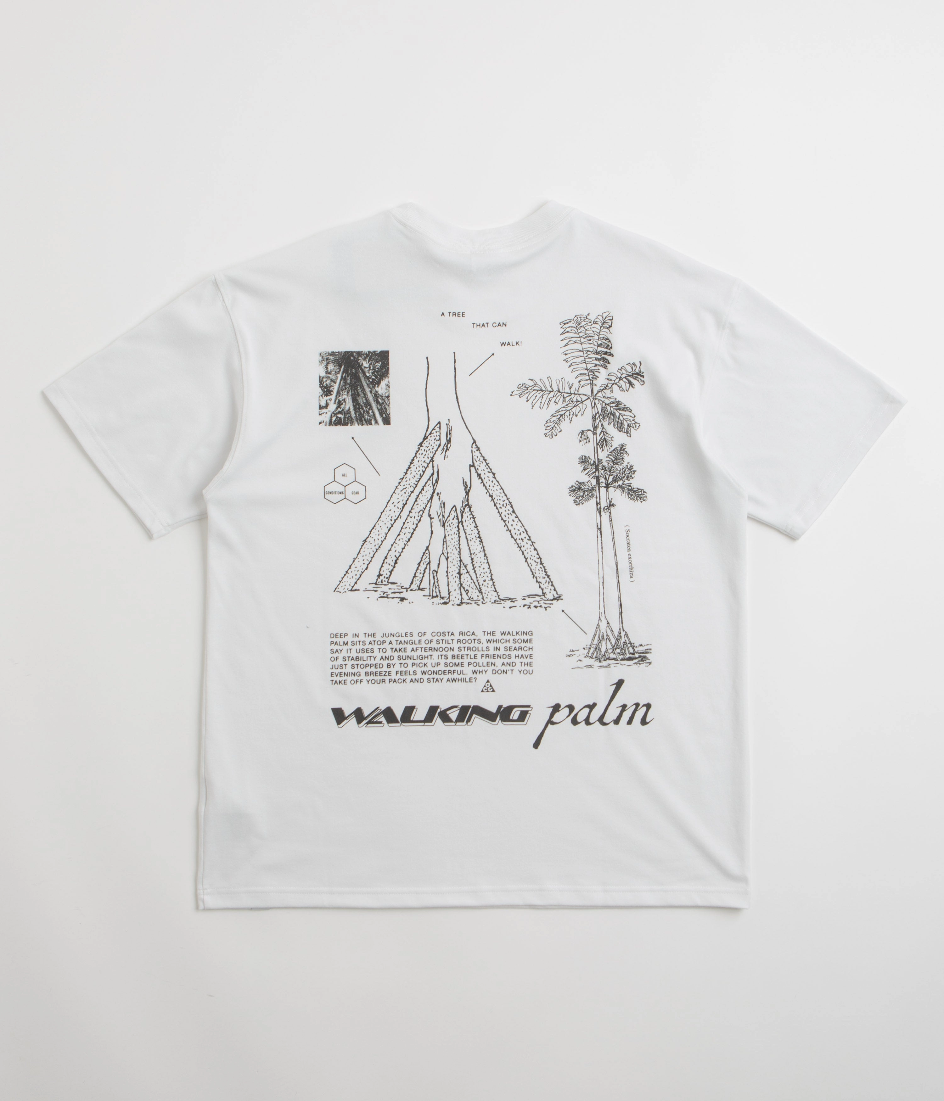 Nike ACG Walk Tree T-Shirt - Summit White Beaded details Fit for All Seasons