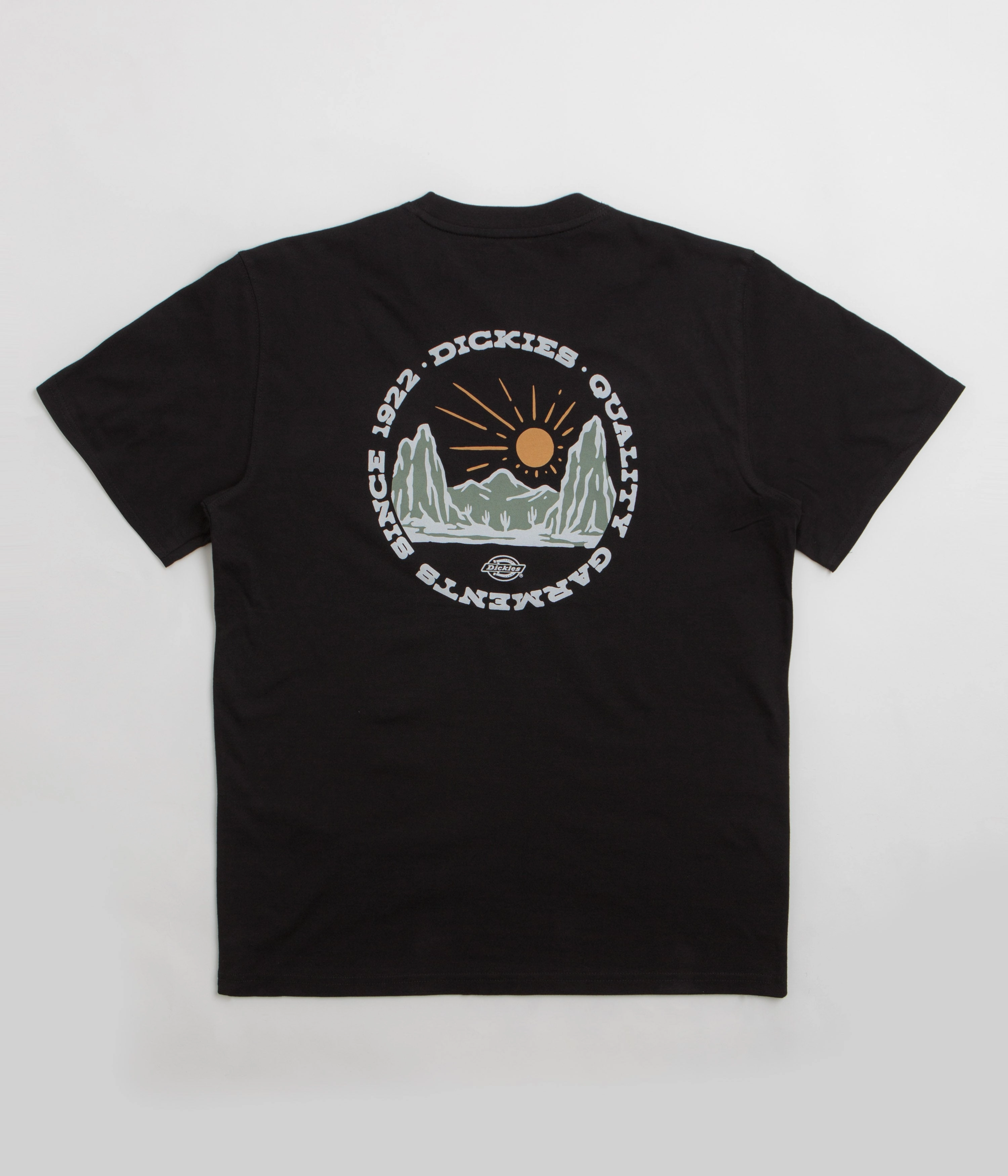 Classic Vibes Dickies Dickies Outdoor T-Shirt - Black