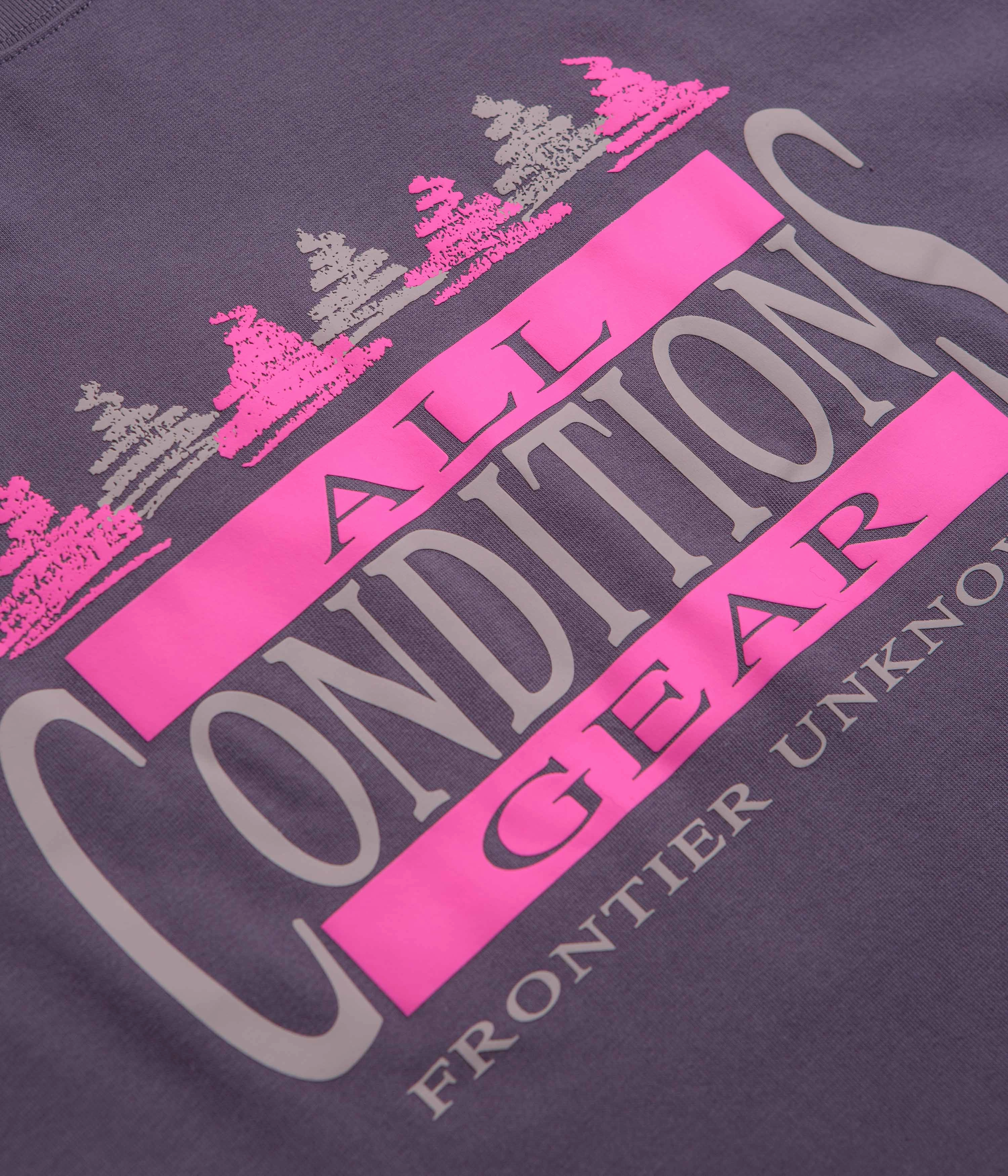 Evergreen Nike ACG Frontier T-Shirt - Dark Raisin