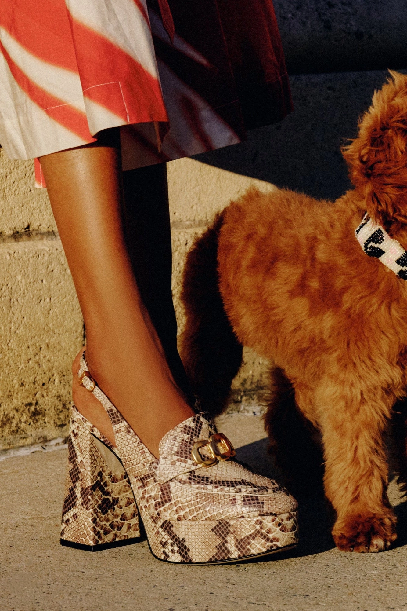 Harrington Loafer Hi In Neutral Snake Stamped Leather Weather Protection