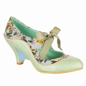 Sleek Pumps Looking Lovely