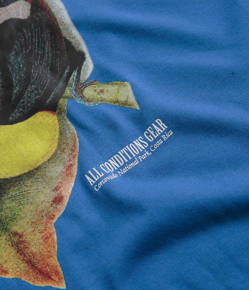 Simple Comfort Look Organic Cotton Construction Nike ACG Toucan T-Shirt - Game Royal