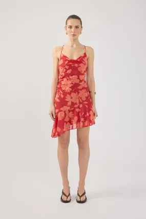 Travel-friendly Perfect Stranger Zinna Mini Dress Red Print