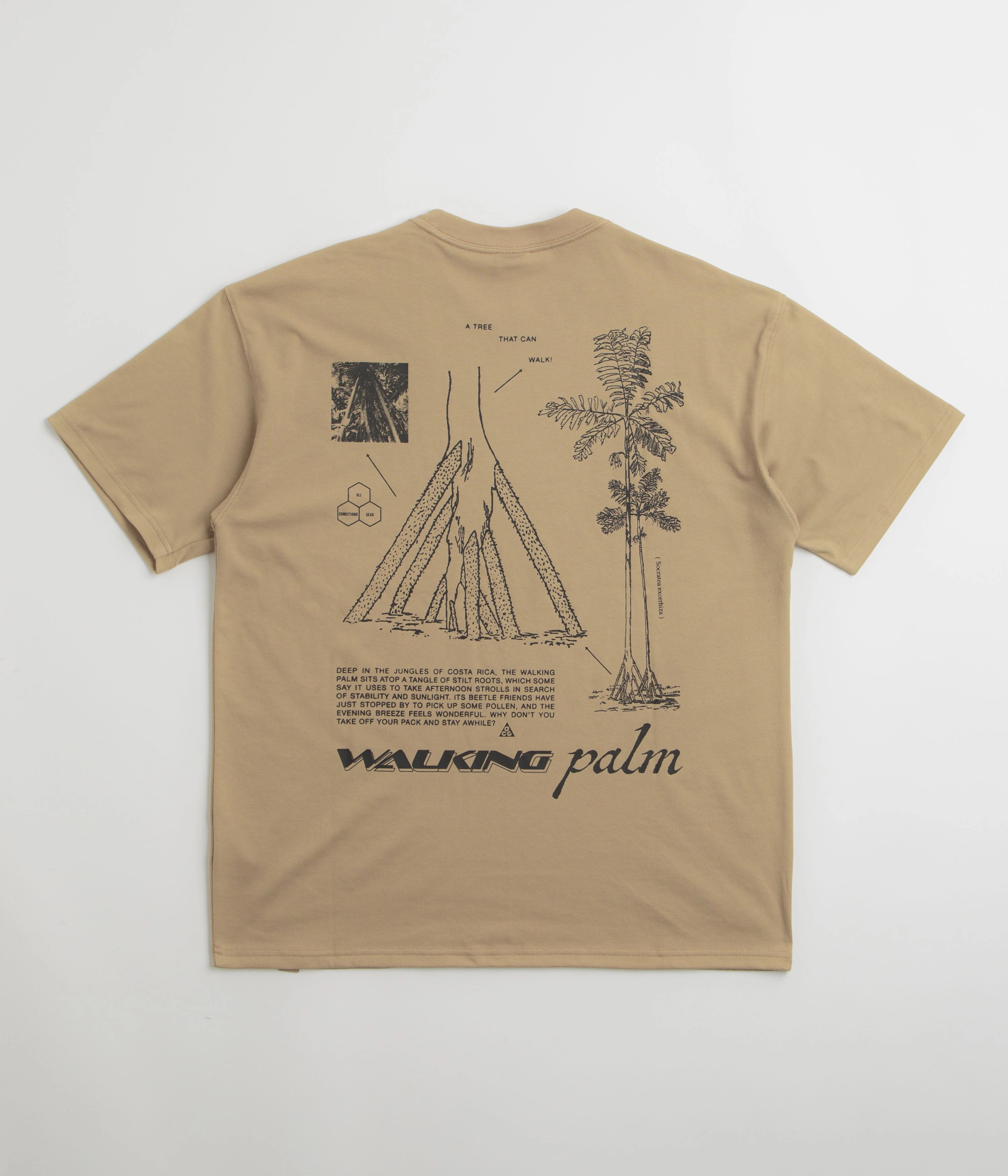 Nike ACG Walk Tree T-Shirt - Parachute Beige Floral Print