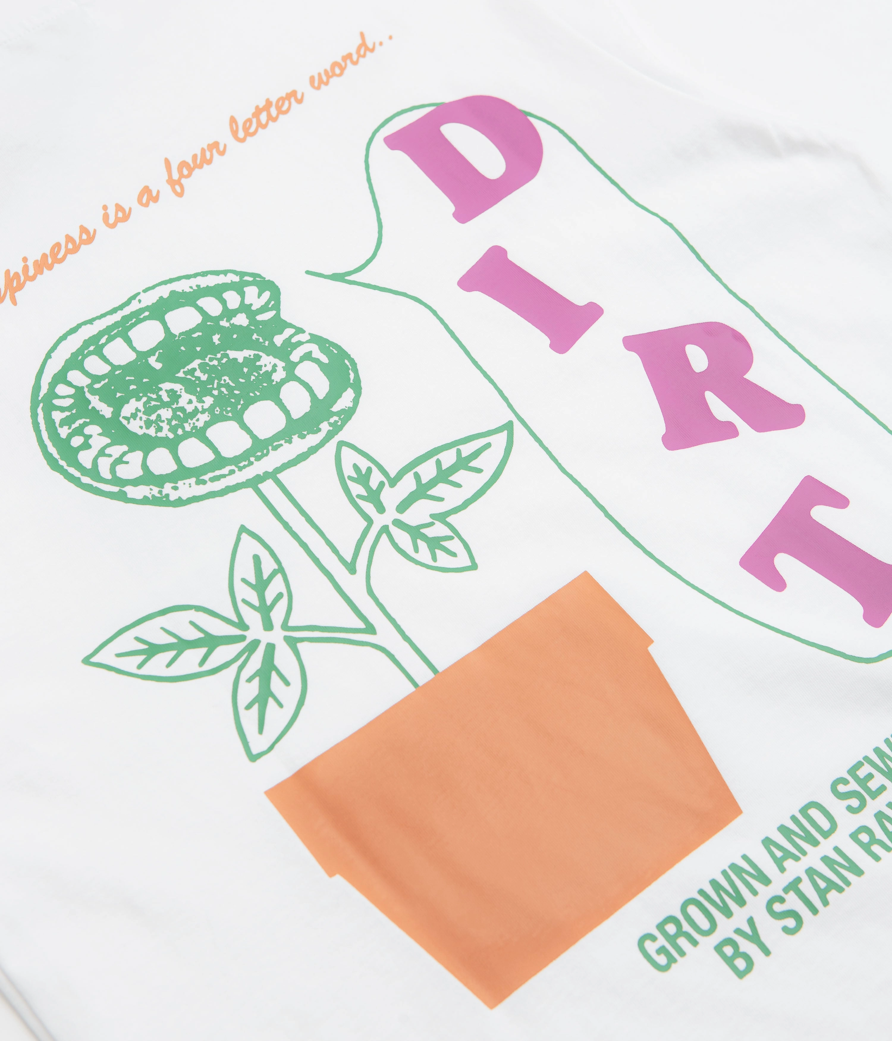 Comfortable Stan Ray Dirt T-Shirt - White